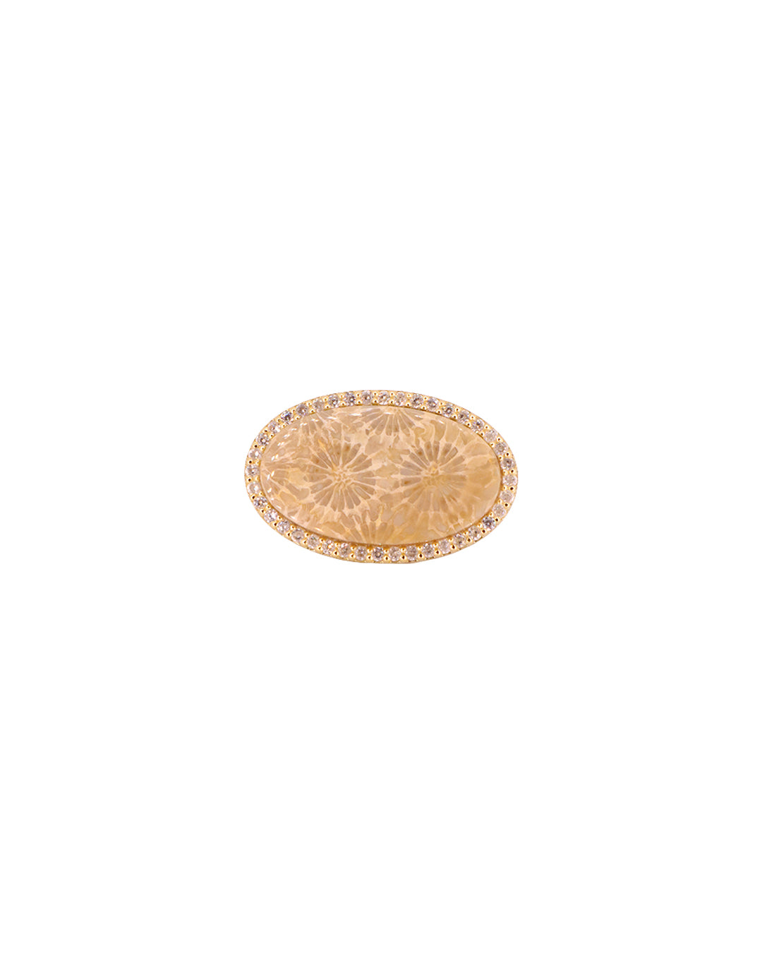 Coral Fossil Ring - Antonia Y. Jewelry