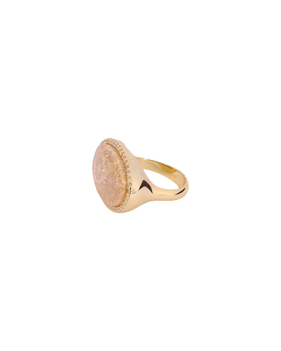 Coral Fossil Ring - Antonia Y. Jewelry